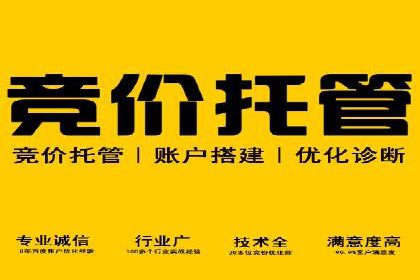 某知名品牌SEM优化案例：广告转化率翻倍的秘诀